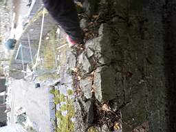 acastle 159780.jpg